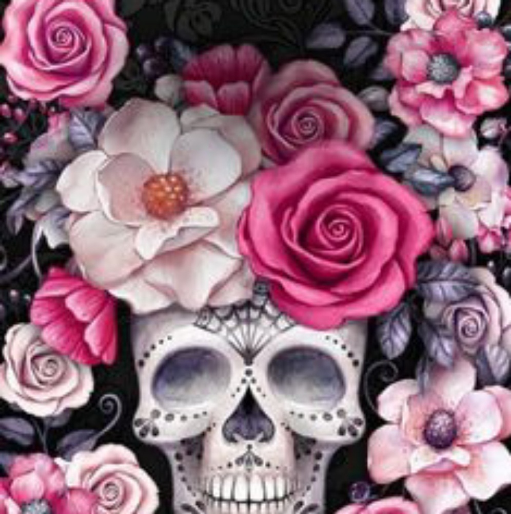 Meet your Posher, Katrina